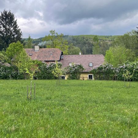 Bed&Breakfast Im Gruenen Nah An Wien Brettwies Kültér fotó